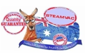 Steamvac logo